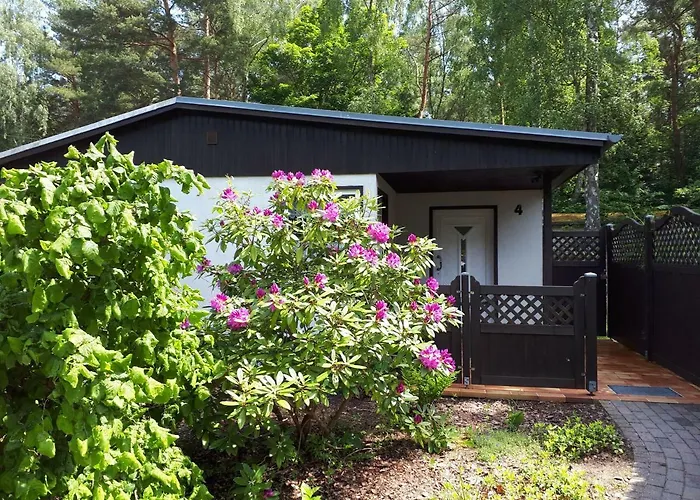 Rother Dom wakacyjny *